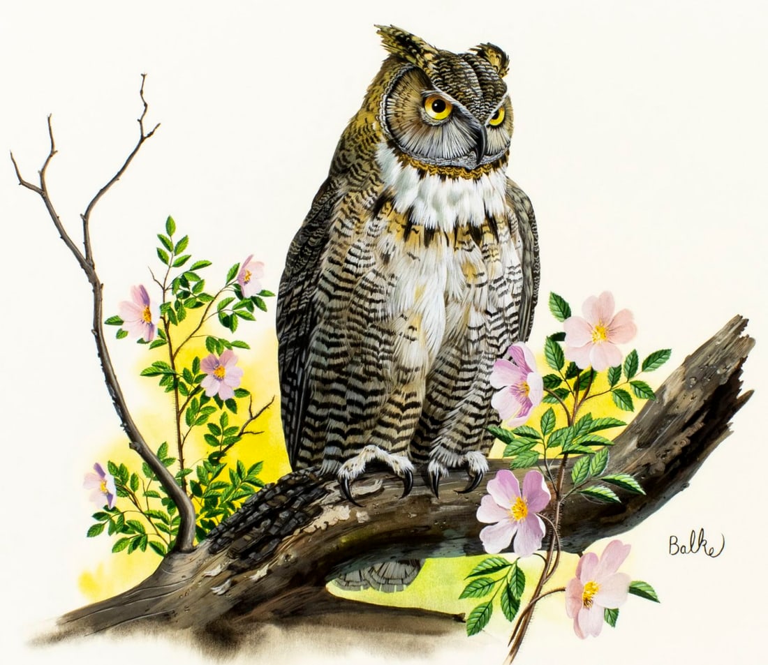 Don Balke (NC,1933-?) gouache painting: ARTIST: Don Balke (North Carolina, 1933 - ???) TITLE: Eagle Owl Bird YEAR: 1978 MEDIUM: gouache on board CONDITION: Very good. ART SIZE: