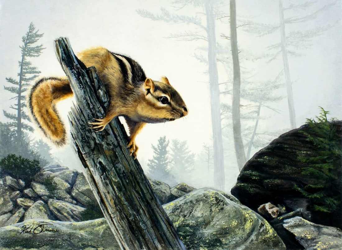 Kirk Stirnweis (NH,CO,b 1967) oil painting: ARTIST: Kirk Stirnweis (Colorado, New Hampshire, born 1967) TITLE: Chipmunk (titled on verso) YEAR: 1986 MEDIUM: oil on board CONDITION: Very good. No vi