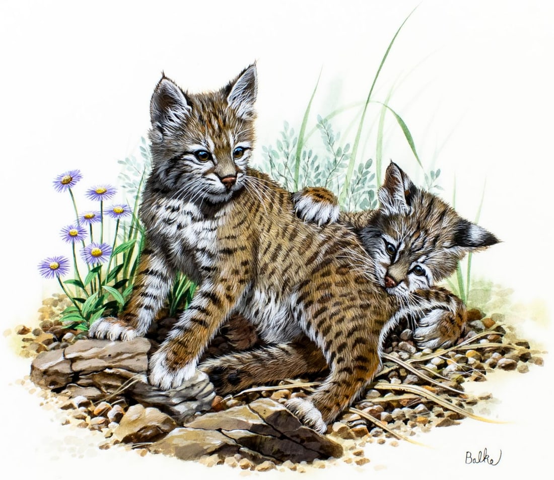 Don Balke (NC,1933-?) gouache painting (1 of 13)