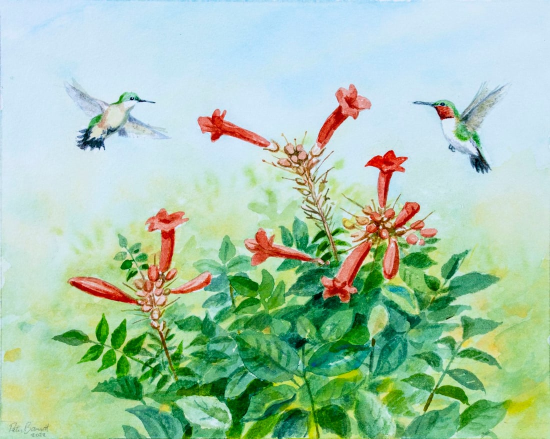 Peter Barrett (UK,b 1935) watercolor painting (1 of 14)