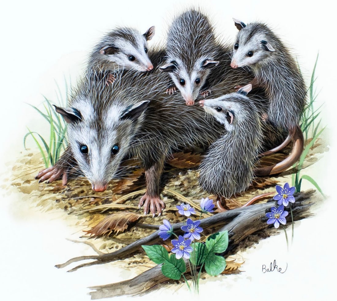 Don Balke (NC,1933-?) gouache painting (1 of 13)