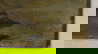 item-200282506=10