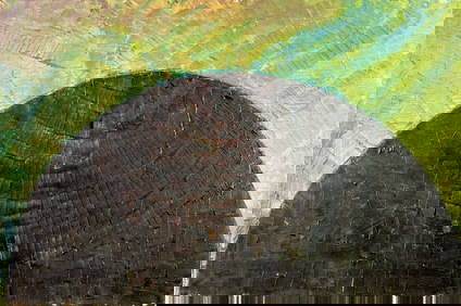 Pios Rodaman (FL,Brazil,b 1953) oil painting (1 of 12)
