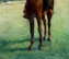 item-201130012=7