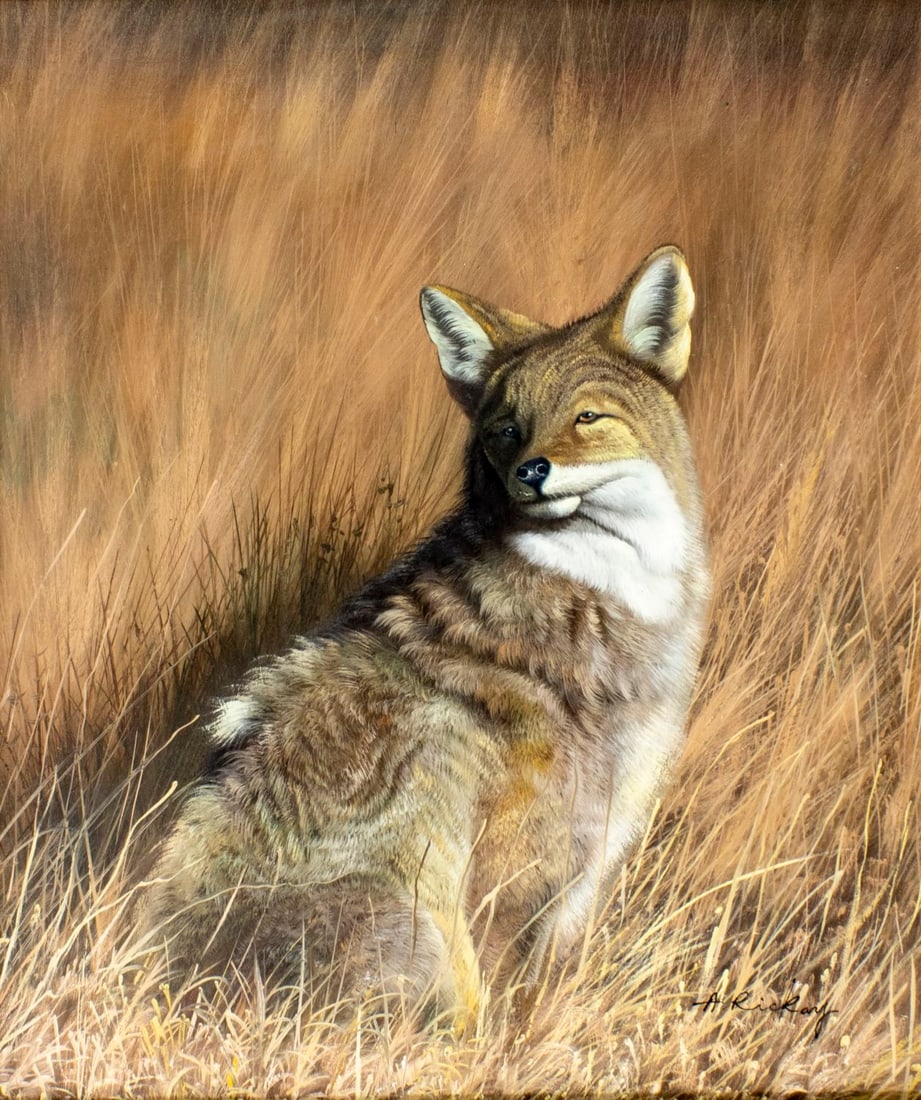 A Rickay (US,20C) oil painting: ARTIST: A Rickay (American, 20 century) TITLE: Fox MEDIUM: oil on canvas CONDITION: Minor craquelure. No visible inpaint under UV light. Minor damages to frame. A