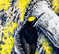 item-201130050=6
