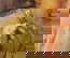 item-201130132=11
