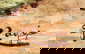 item-201130147=4