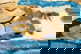item-201130267=8