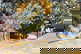 item-201130346=4