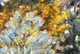 item-201130346=7