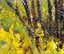 item-201130403=8