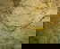 item-201130430=7