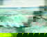 item-201130453=1