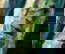 item-201455164=8