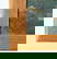 item-202864135=10