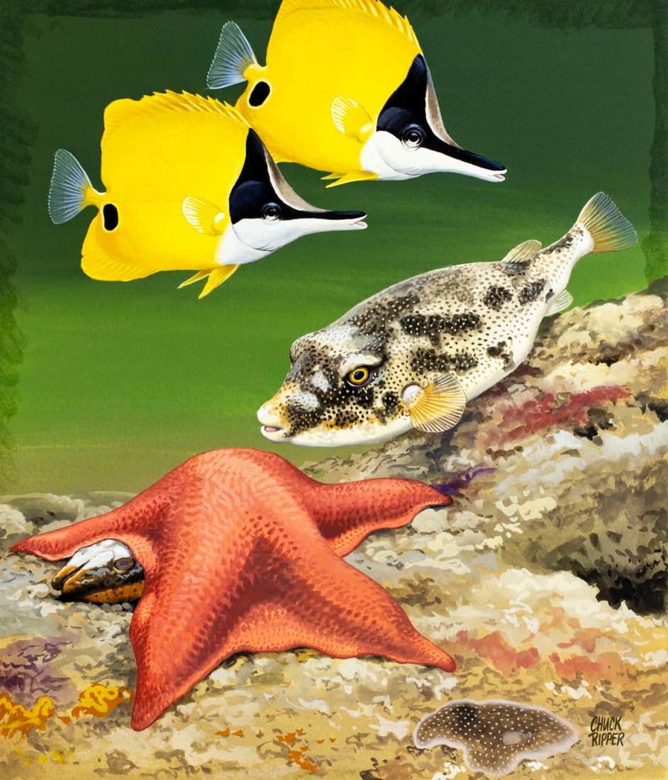 Chuck Ripper (WV,PA,1929-2019) gouache painting (1 of 14)