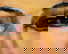 item-204413868=8