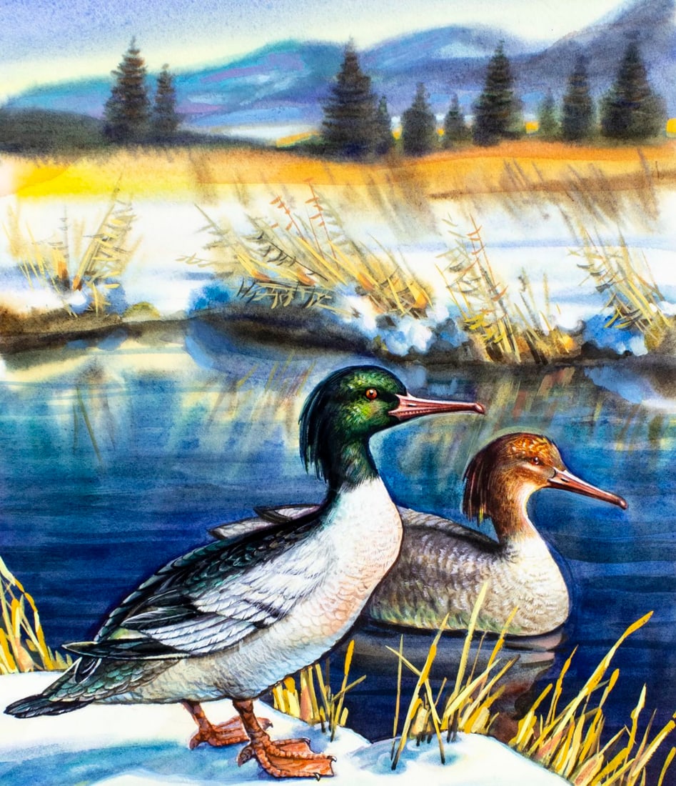 Ivan Kozlov (Russia,1937-?) watercolor painting: ARTIST: Ivan Kozlov (Russian, 1937 - ???) TITLE: Duck - Mergus Merganser (titled on verso) YEAR: 1995 MEDIUM: watercolor on heavy paper CONDITION: Very