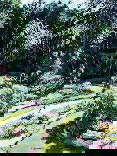 Evelyn Metzger (NY,Brazil,1911-2007) oil painting: ARTIST: Evelyn Borchard Metzger (New York, Brazilian, 1911 - 2007) TITLE: Busschart Gardens, Victoria, BC (titled on verso) YEAR: 1999 MEDIUM: oil on board COND