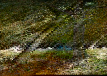 Antique 19C European oil painting signed: ARTIST: - (Europe, 19 century) TITLE: Forest Landscape MEDIUM: oil on canvas CONDITION: Relined. Minor scratches/paint losses. Some craquelure. Some scattered inpaintings.