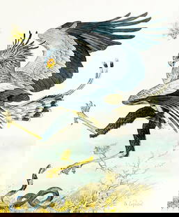 Vadim Gorbatov (Russia,b 1940) watercolor painting: ARTIST: Vadim Alekseevich Gorbatov (Russia, born 1940) TITLE: Gambia - Secretary Bird (titled on verso) YEAR: 1989 MEDIUM: watercolor on paper. Paper applied to board.