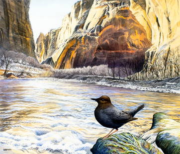 Michael Warren (UK,1938-?) watercolor painting: ARTIST: Michael Warren (United Kingdom, 1938 - ???) TITLE: American Dipper Bird, Utah (titled on verso) YEAR: 1986 MEDIUM: watercolor on heavy paper CONDITION:<