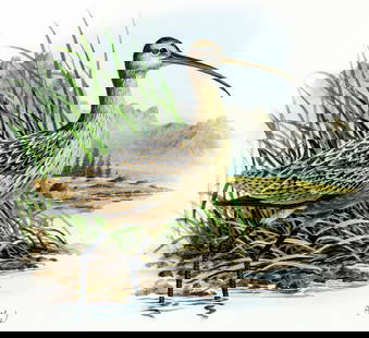 Don Balke (NC,1933-?) gouache painting: ARTIST: Don Balke (North Carolina, 1933 - ???) TITLE: Long-billed Curlew Bird, New Mexico (titled on verso) YEAR: 1985 MEDIUM: gouache and watercolor on board C