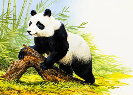 Chuck Ripper (WV,PA,1929-2019) gouache painting: ARTIST: Chuck Ripper (West Virginia, Pennsylvania, 1929 - 2019) TITLE: Giant Panda (titled on verso) YEAR: 1992 MEDIUM: gouache on board CONDITION: Very good. ART SIZE: 9 x 12 inches / 22 x 30 cm