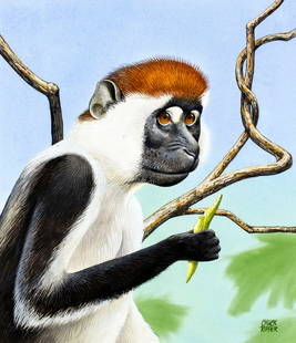 Chuck Ripper (WV,PA,1929-2019) gouache painting: ARTIST: Chuck Ripper (West Virginia, Pennsylvania, 1929 - 2019) TITLE: Cherry-crowned Mangabey, Cercocebus Torquatus (titled on verso) YEAR: 2004 MEDIUM: gouache on board CONDITION: Few faint