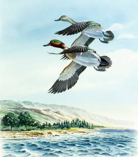 Don Balke (NC,1933-?) gouache painting: ARTIST: Don Balke (North Carolina, 1933 - ???) TITLE: Israel Ducks (titled on verso) YEAR: 1990 MEDIUM: gouache and watercolor on board CONDITION: Some