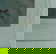 item-205749915=10