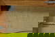 item-205749993=13