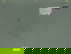 item-205750025=9