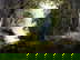 item-205750046=1