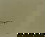 item-205750072=9