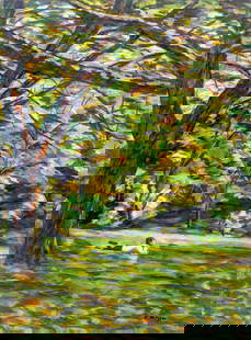 Evelyn Metzger (NY,Brazil,1911-2007) oil painting: ARTIST: Evelyn Borchard Metzger (New York, Brazilian, 1911 - 2007) TITLE: Central Park Scene, NY MEDIUM: oil on board CONDITION: Minor damage to the upper egde. Few minor