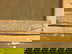 item-205750172=13