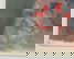 item-205750182=9