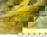 item-205750195=4
