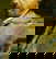 item-205750195=7