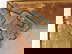 item-205750228=14