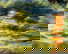 item-205750228=8