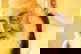 item-205750244=8
