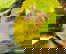 item-205750280=8