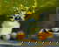 item-206079621=1