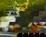 item-206079621=5