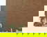 item-206079670=12