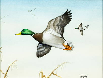 Lee Mauney (NC,20/21C) watercolor painting: ARTIST: Lee Mauney (North Carolina, 20/21 centuries) TITLE: Flying Ducks MEDIUM: watercolor on paper CONDITION: Very good. Framed under glass. ART SIZE: 6 x 8 inches / 15 x 20 cm FRAME SIZE: 10 x 12