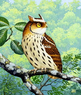 Chuck Ripper (WV,PA,1929-2019) gouache painting: ARTIST: Chuck Ripper (West Virginia, Pennsylvania, 1929 - 2019) TITLE: Giant Scops Owl Bird (titled on verso) YEAR: 1994 MEDIUM: gouache on board CONDITION: Very good. ART SIZE: 15 x 13 inches / 38